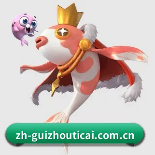 贵州体彩网 APP